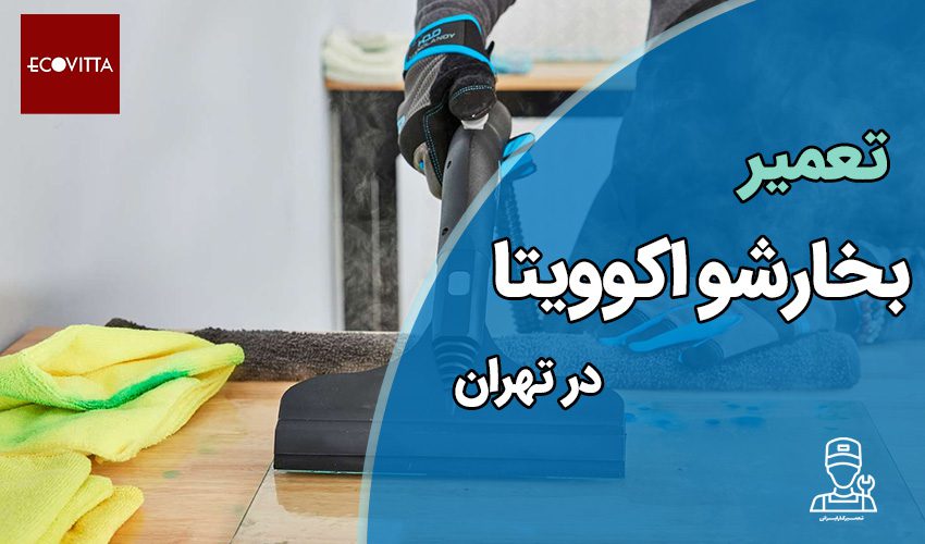 تعمیر بخارشوی اکوویتا با مناسب ترین قیمت در تهران