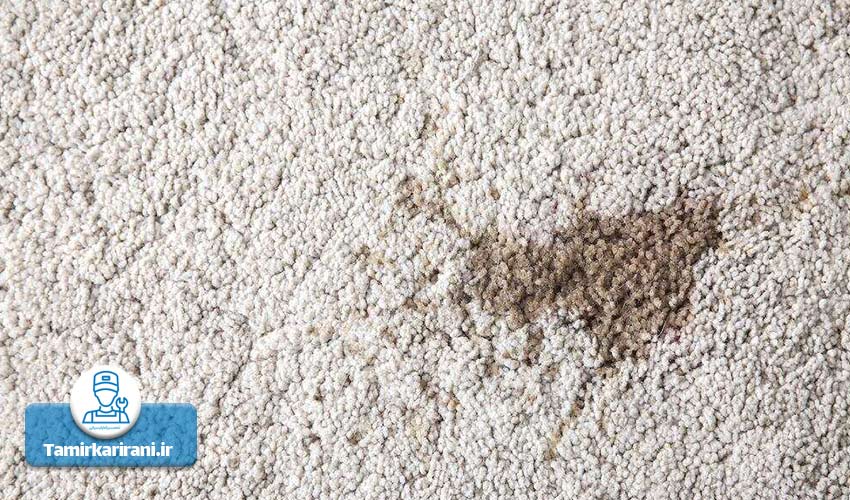  معایب استفاده از بخارشو برای تمیز کردن فرش